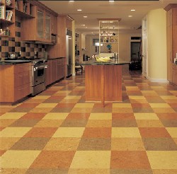 Cork Floor